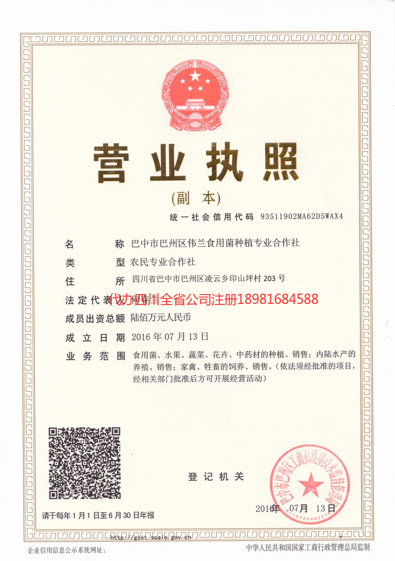 招远招远伟兰食用菌种植专业合作社